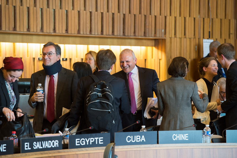 196th session of the Executive Board