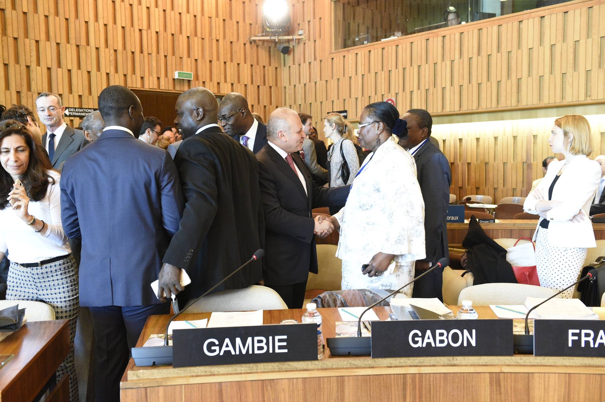 UNESCO Executive Board Meeting 29 
