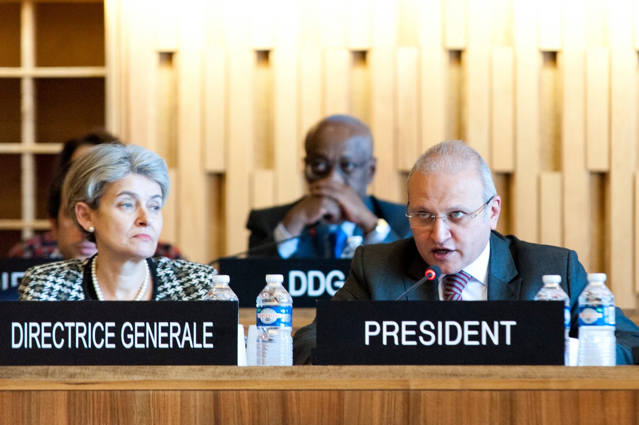 UNESCO Executive Board Meeting 46 